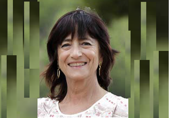 Begoña Giner, miembro del Project Task Force